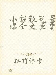 小说致我最爱的你全文免费阅读