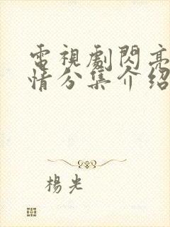 电视剧闪亮爱剧情分集介绍