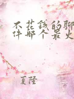 不花钱的聊天软件哪个最火