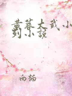 黄蓉大武小武系列小说