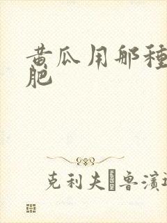 黄瓜用那种冲施肥