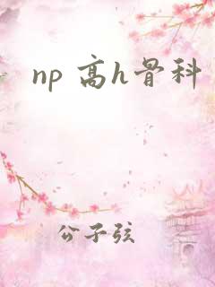 np 高h骨科