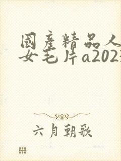 国产精品人妻熟女毛片a2023