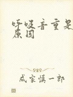呼吸音重是什么原因
