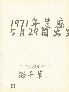 1971年农历5月29日出生的人命运 1971年农历5月29日出生的人命运