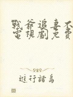战爷追妻不能停电视剧免费观看高清