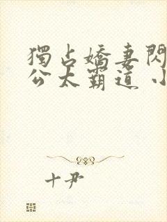 独占娇妻闪婚老公太霸道 小说