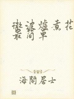 微波炉煮花生米最简单