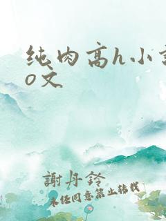 纯肉高h小说po文