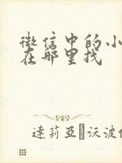 微信中的小程序在哪里找