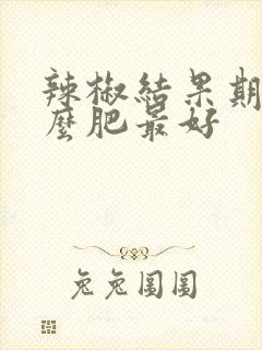 辣椒结果期施什么肥最好