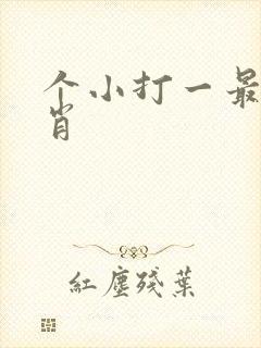 个小打一最佳生肖