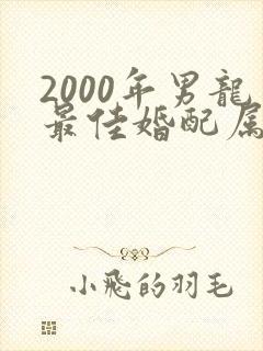 2000年男龙最佳婚配属相