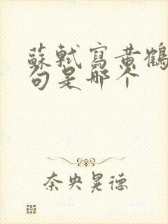 苏轼写黄鹤楼名句是哪个