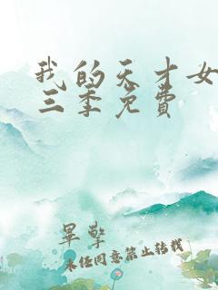 我的天才女友第三季免费