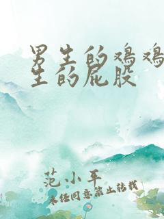 男生的鸡鸡进女生的屁股