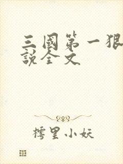 三国第一狠人小说全文