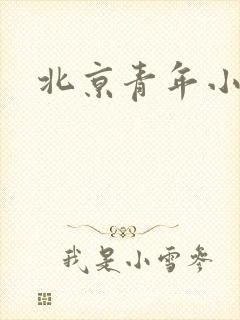 北京青年小说