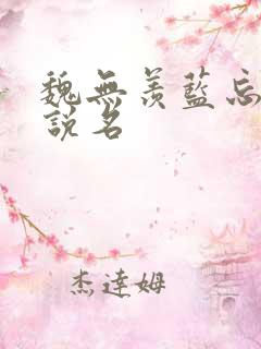 魏无羡蓝忘机小说名