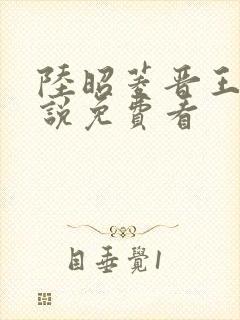 陆昭菱晋王的小说免费看