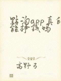 点淘app真的能挣钱吗