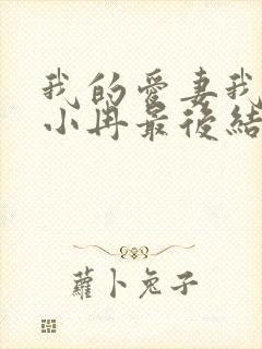 我的爱妻我的父小冉最后结局 我的爱妻我的父小冉最后结局