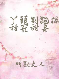 丫头别跑总裁的甜宠甜妻 丫头别跑总裁的甜宠甜妻