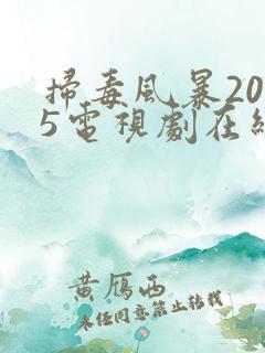 扫毒风暴2025电视剧在线免费