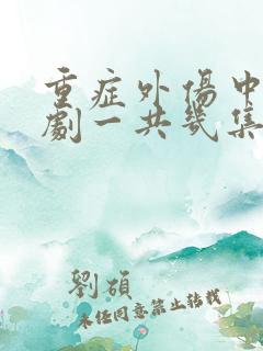 重症外伤中心韩剧一共几集