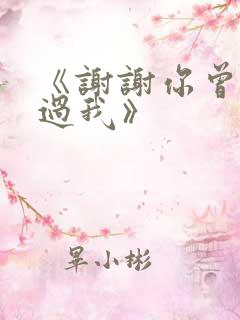 《谢谢你曾经爱过我》
