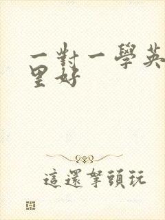 一对一学英语哪里好