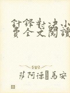 针锋对决小说免费全文阅读