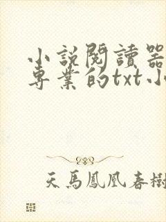 小说阅读器极简专业的txt小说阅读器