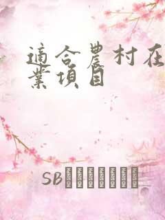 适合农村在家创业项目