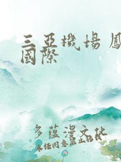 三亚机场 凤凰国际