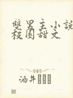 双男主小说推荐校园甜文