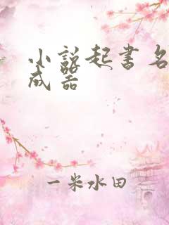 小说起书名 生成器