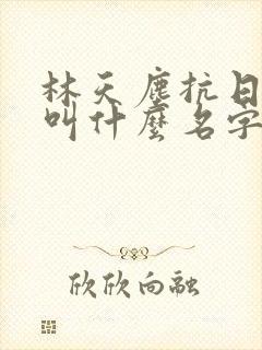 林天尘抗日小说叫什么名字