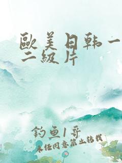 欧美日韩一级片二级片