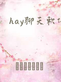 hay聊天软件