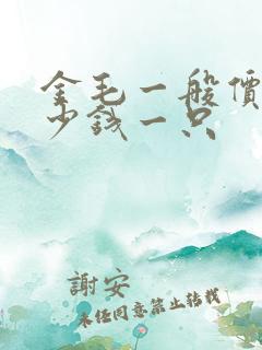 金毛一般价格多少钱一只