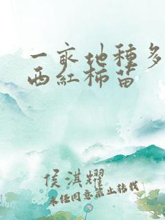 一亩地种多少棵西红柿苗