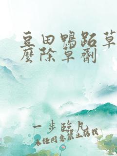 豆田鸭跖草用什么除草剂