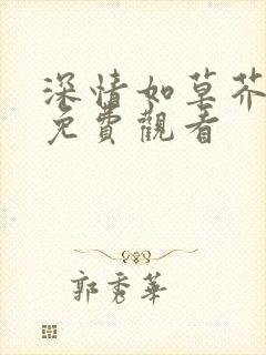 深情如草芥短剧免费观看