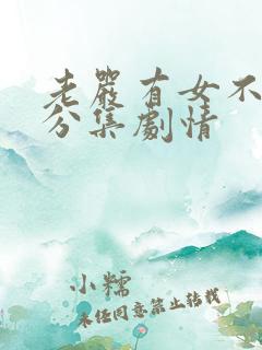 老严有女不愁嫁分集剧情
