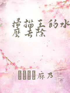 扫描王的水印怎么去除