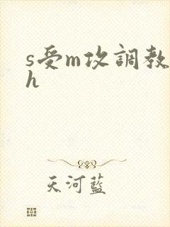 s受m攻调教高h