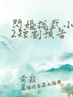 闪婚总裁小娇妻2短剧预告