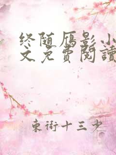 终随雁影小说全文免费阅读