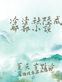 冷清秋陆成文是哪部小说 冷清秋陆成文是哪部小说